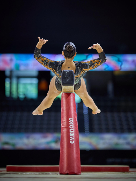 Gimnasia Artística