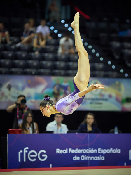 Gimnasia Artística