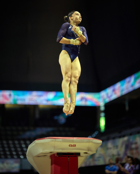 Gimnasia Artística