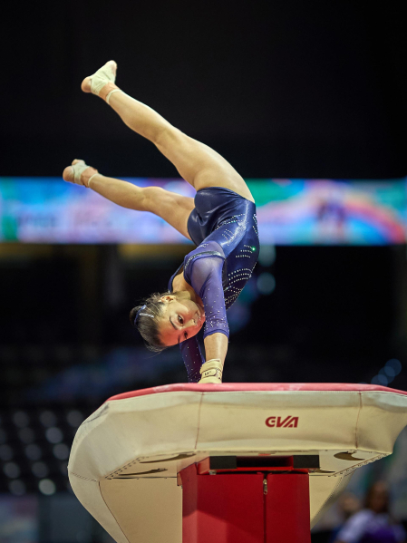 Gimnasia Artística