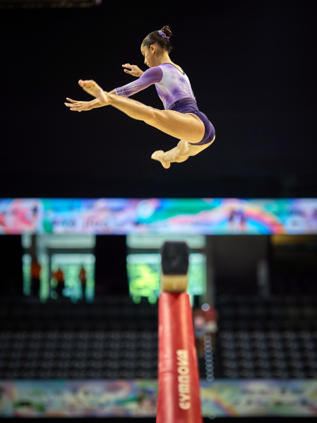 Gimnasia Artística