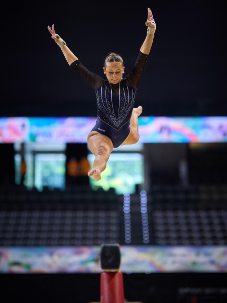 Gimnasia Artística