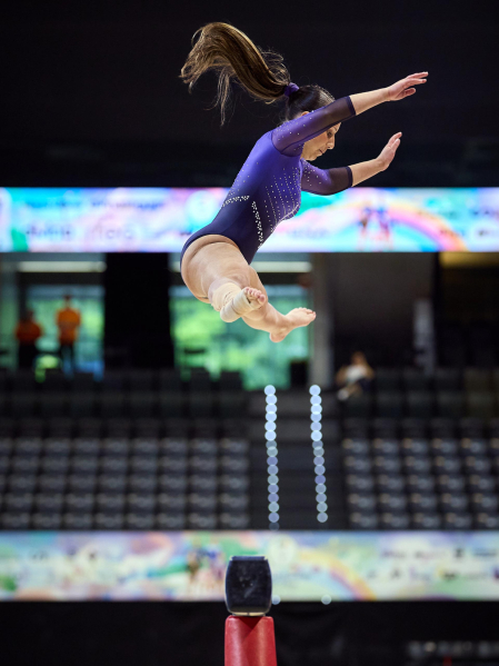 Gimnasia Artística