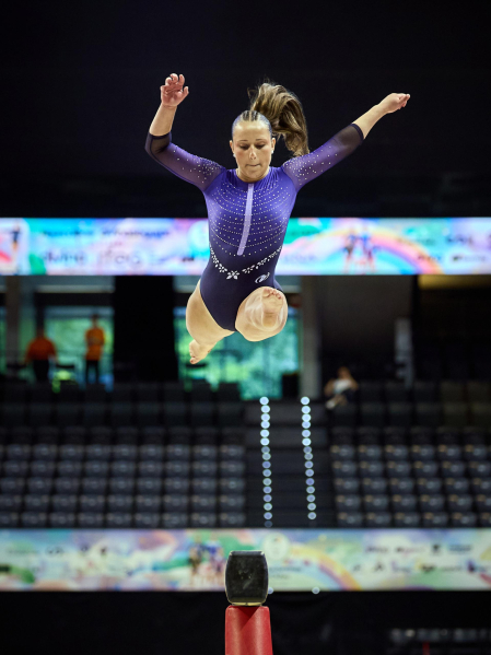 Gimnasia Artística
