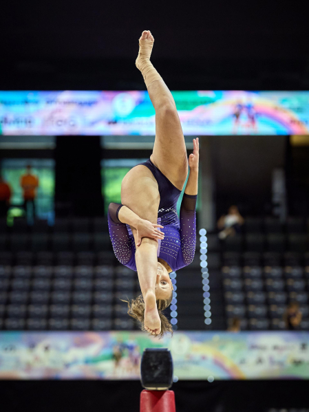 Gimnasia Artística