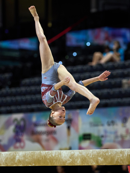 Gimnasia Artística