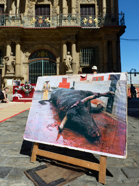 Foto de la manifestación de los activistas antitaurinos en Pamplona.