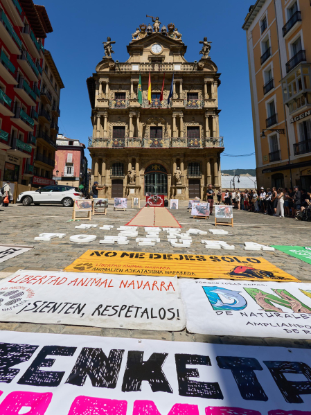 Foto de la manifestación de los activistas antitaurinos en Pamplona.