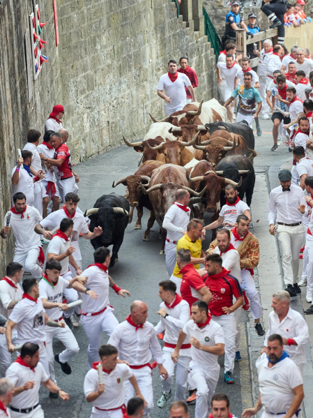 cuarto encierro de San Fermín 2026 en Pamplona SANTO DOMINGO