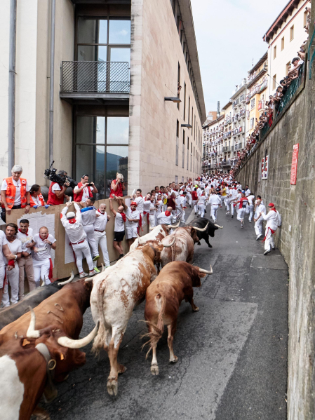 cuarto encierro de San Fermín 2026 en Pamplona SANTO DOMINGO