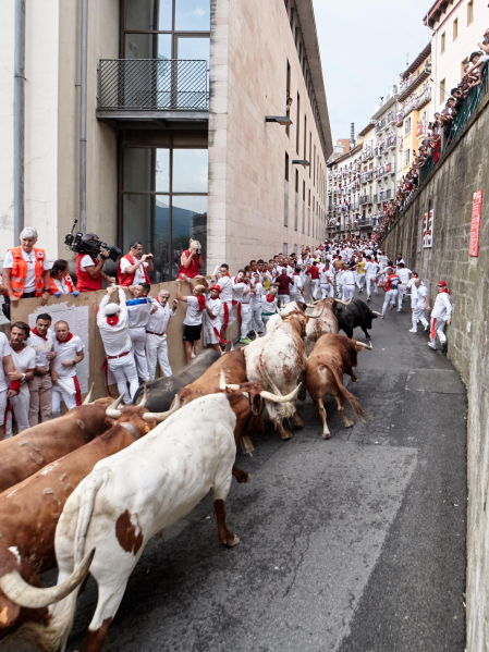 cuarto encierro de San Fermín 2026 en Pamplona SANTO DOMINGO