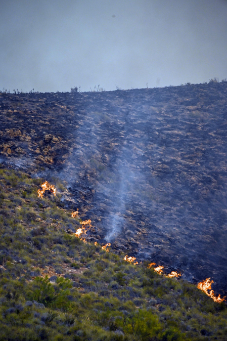Fotos del incendio forestal de Los Gallardos, en Almería