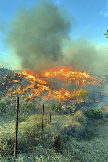 Fotos del incendio forestal de Los Gallardos, en Almería