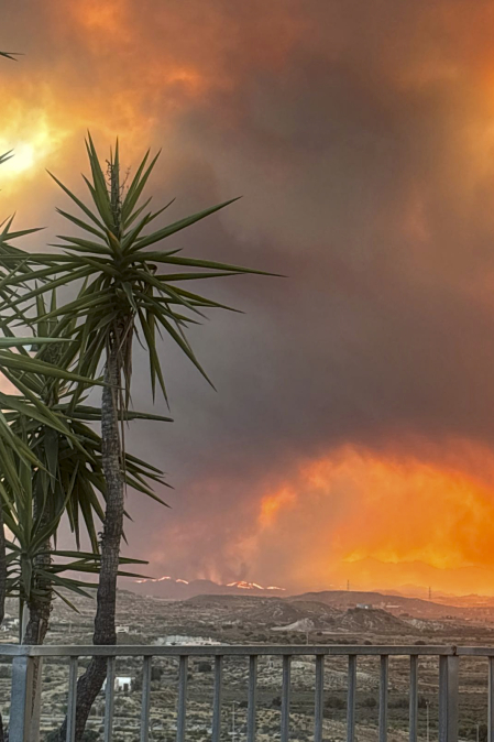 Fotos del incendio forestal de Los Gallardos, en Almería