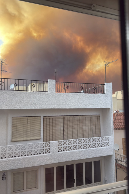Fotos del incendio forestal de Los Gallardos, en Almería