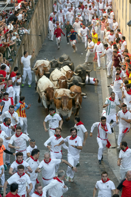 Fotos del quinto encierro de San Fermín 2026 en Pamplona