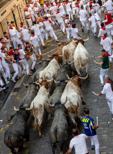 Fotos del quinto encierro de San Fermín 2026 en Pamplona
