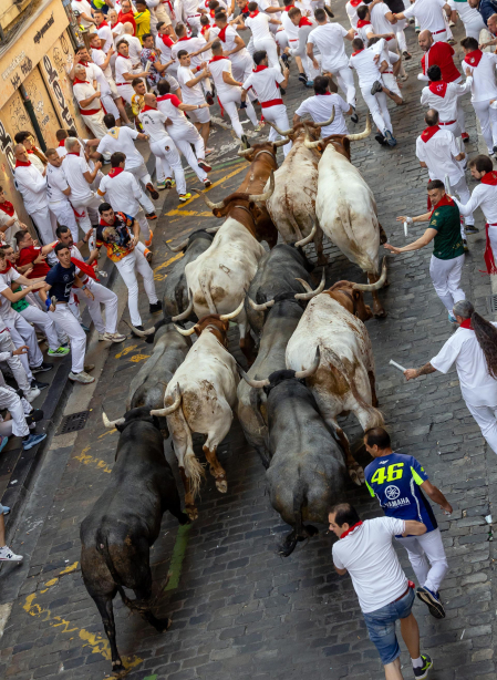 Fotos del quinto encierro de San Fermín 2026 en Pamplona