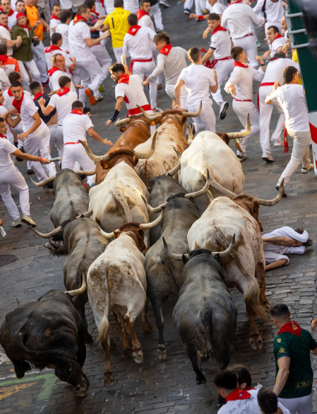 Fotos del quinto encierro de San Fermín 2026 en Pamplona