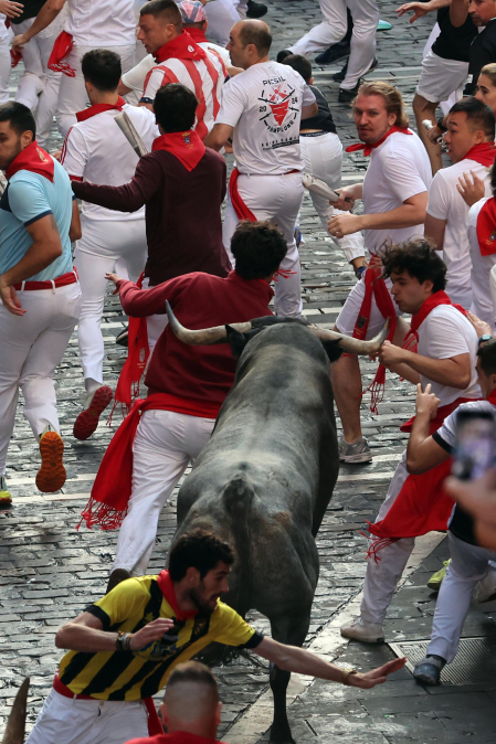 Fotos del quinto encierro de San Fermín 2026 en Pamplona
