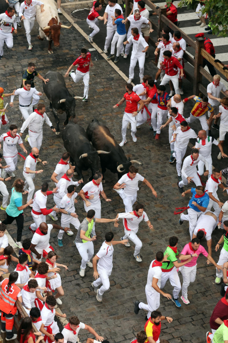 Fotos del séptimo encierro de San Fermín 2026 con toros de Miura en el tramo de Telefónica.