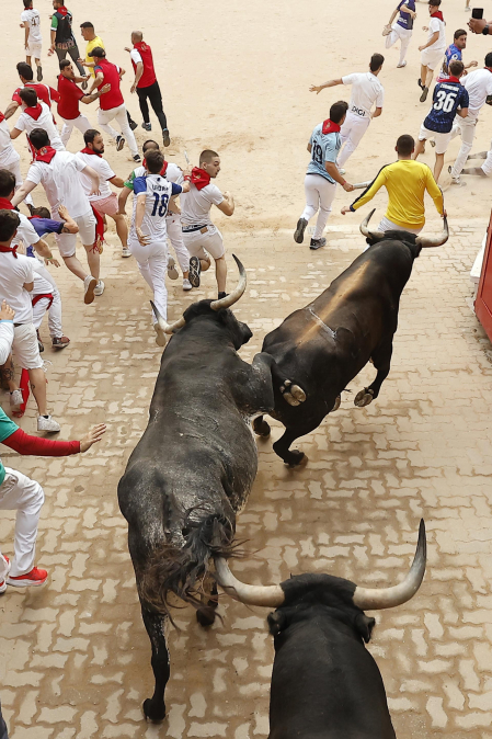 Fotos del séptimo encierro de San Fermín 2026 con toros de Miura.