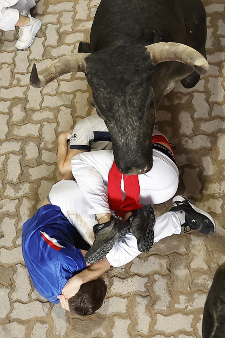 Fotos del séptimo encierro de San Fermín 2026 con toros de Miura.