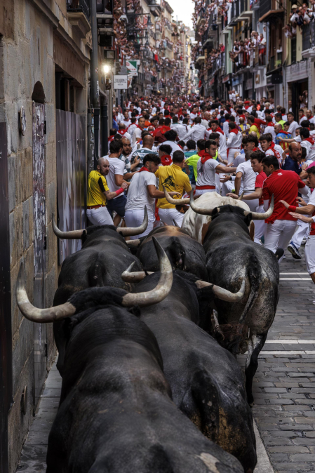 Fotos del séptimo encierro de San Fermín 2026 con toros de Miura en la curva de Mercaderes.