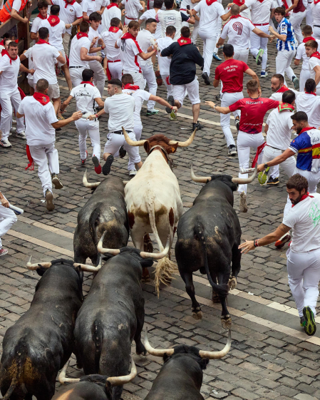 Fotos del séptimo encierro de San Fermín 2026 con toros de Miura en la cuesta de Santo Domingo y plaza del Ayuntamiento.