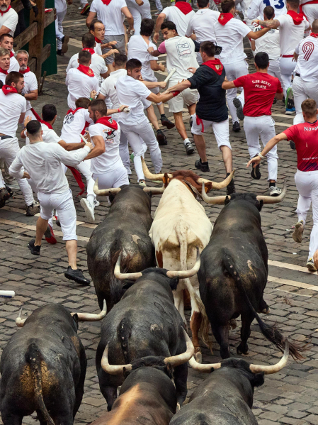 Fotos del séptimo encierro de San Fermín 2026 con toros de Miura en la cuesta de Santo Domingo y plaza del Ayuntamiento.