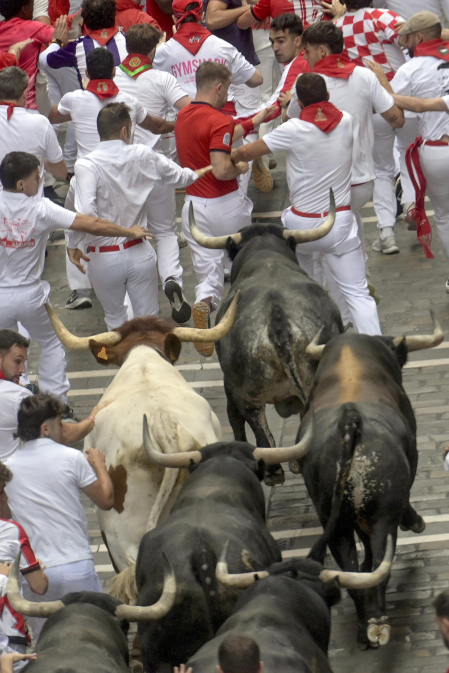 Fotos del séptimo encierro de San Fermín 2026 con toros de Miura.