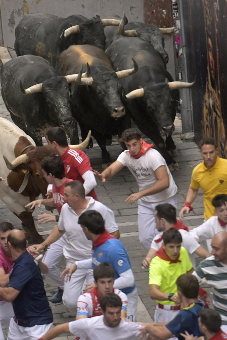 Fotos del séptimo encierro de San Fermín 2026 con toros de Miura.