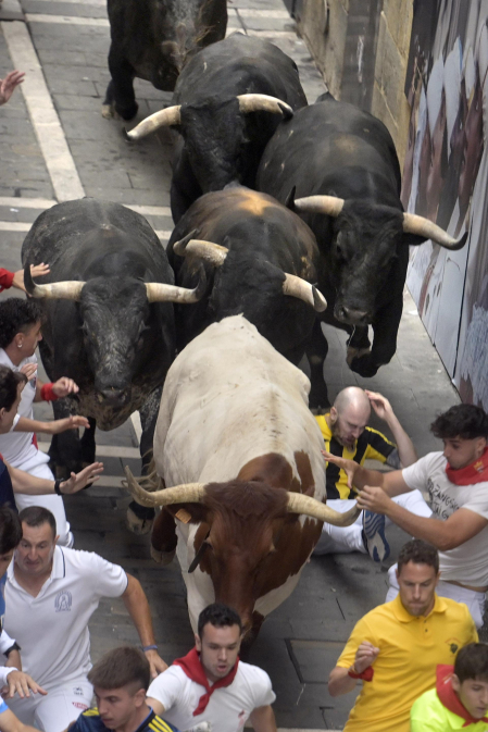 Fotos del séptimo encierro de San Fermín 2026 con toros de Miura.