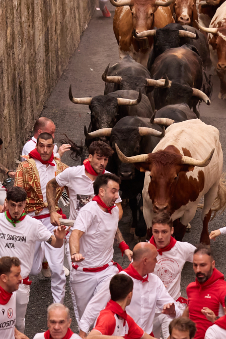Fotos del séptimo encierro de San Fermín 2026 con toros de Miura en la cuesta de Santo Domingo.