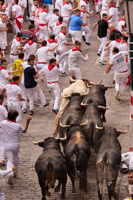 Fotos del séptimo encierro de San Fermín 2026 con toros de Miura en la cuesta de Santo Domingo.