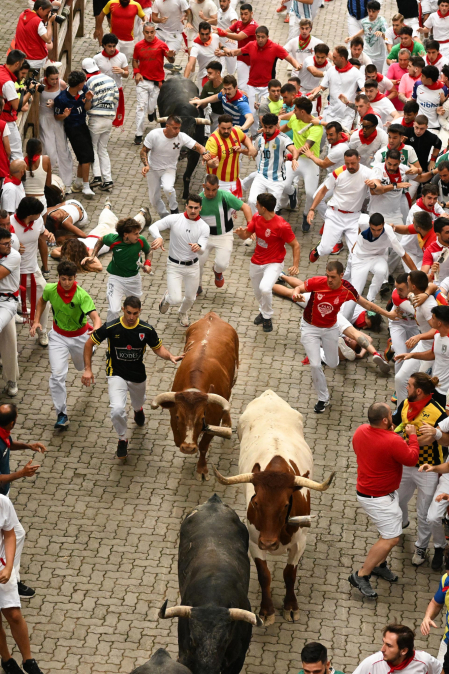 Fotos del séptimo encierro de San Fermín 2026 con toros de Miura en la bajada al callejón.