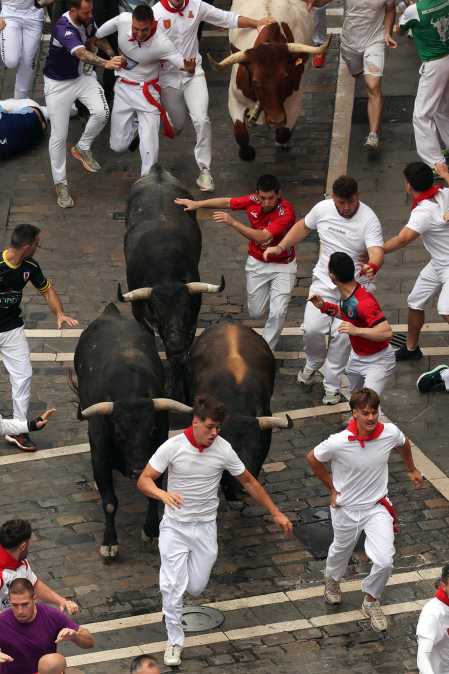 Fotos del séptimo encierro de San Fermín 2026 con toros de Miura en el tramo de Telefónica.