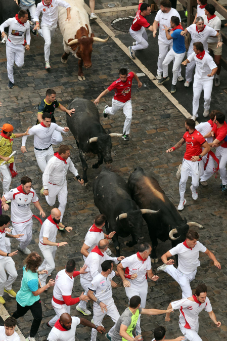 Fotos del séptimo encierro de San Fermín 2026 con toros de Miura en el tramo de Telefónica.