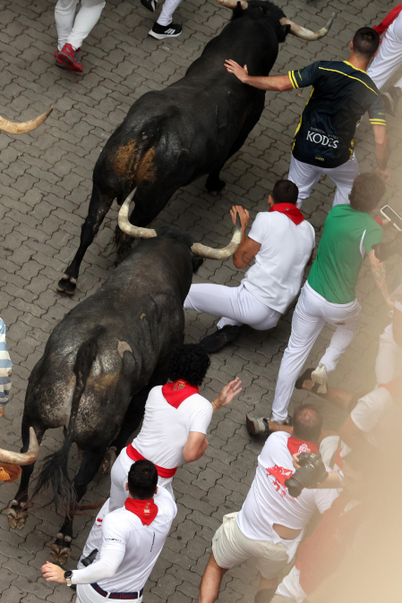 Fotos del séptimo encierro de San Fermín 2026 con toros de Miura en el tramo de Telefónica.