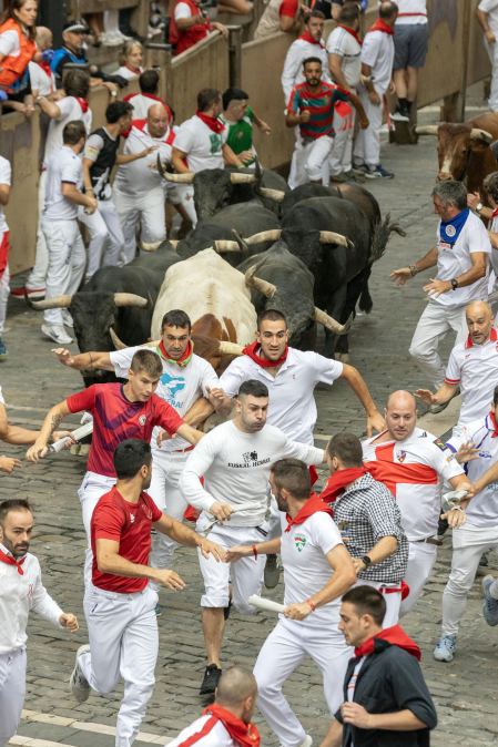 Fotos del séptimo encierro de San Fermín 2026 con toros de Miura en la plaza del Ayuntamiento.
