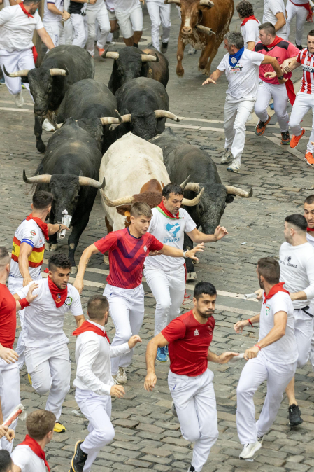 Fotos del séptimo encierro de San Fermín 2026 con toros de Miura en la plaza del Ayuntamiento.