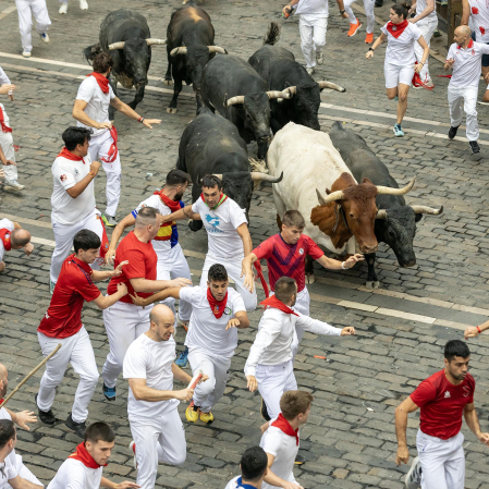 Fotos del séptimo encierro de San Fermín 2026 con toros de Miura en la plaza del Ayuntamiento.