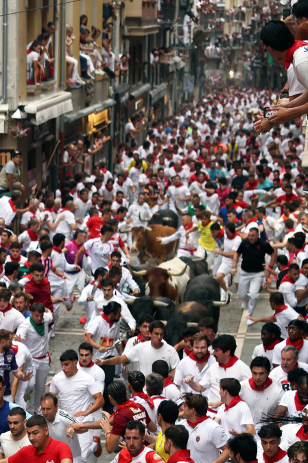 Fotos del séptimo encierro de San Fermín 2026 con toros de Miura en la calle Estafeta.