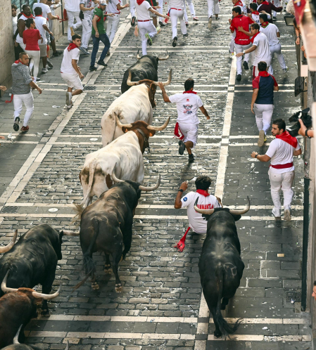 Fotos del octavo encierro de San Fermín 2026 con toros de la ganadería de Jandilla en Mercaderes.