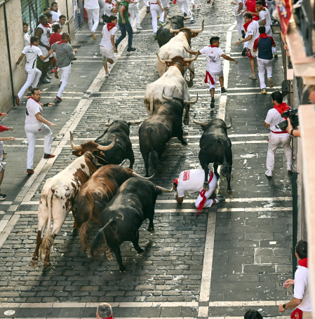 Fotos del octavo encierro de San Fermín 2026 con toros de la ganadería de Jandilla en Mercaderes.