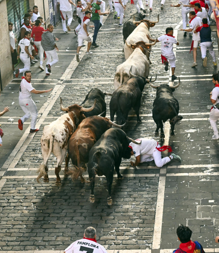 Fotos del octavo encierro de San Fermín 2026 con toros de la ganadería de Jandilla en Mercaderes.