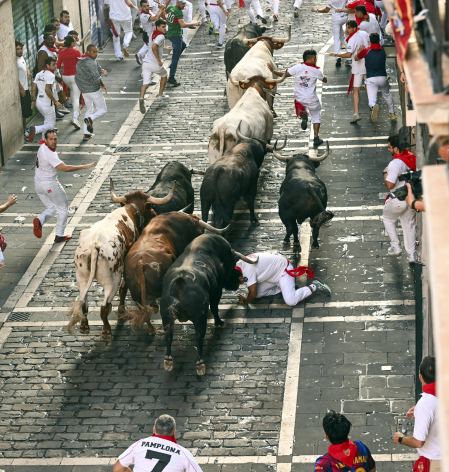 Fotos del octavo encierro de San Fermín 2026 con toros de la ganadería de Jandilla en Mercaderes.
