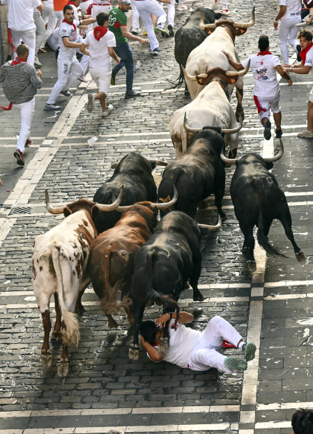 Fotos del octavo encierro de San Fermín 2026 con toros de la ganadería de Jandilla en Mercaderes.