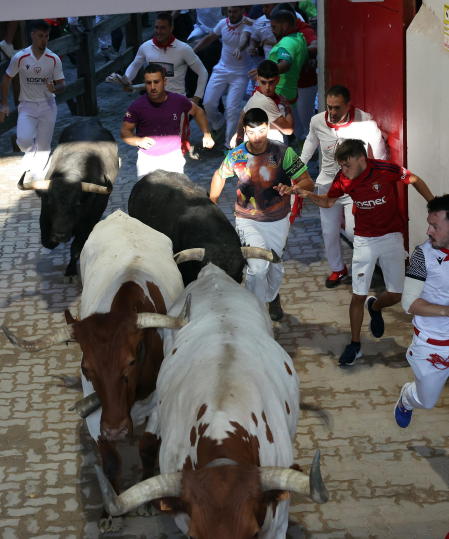 Fotos del octavo encierro de San Fermín 2026 con toros de la ganadería de Jandilla en el callejón.