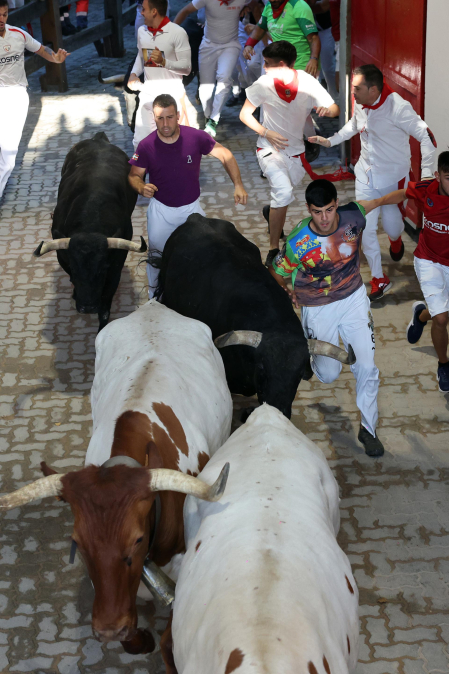 Fotos del octavo encierro de San Fermín 2026 con toros de la ganadería de Jandilla en el callejón.